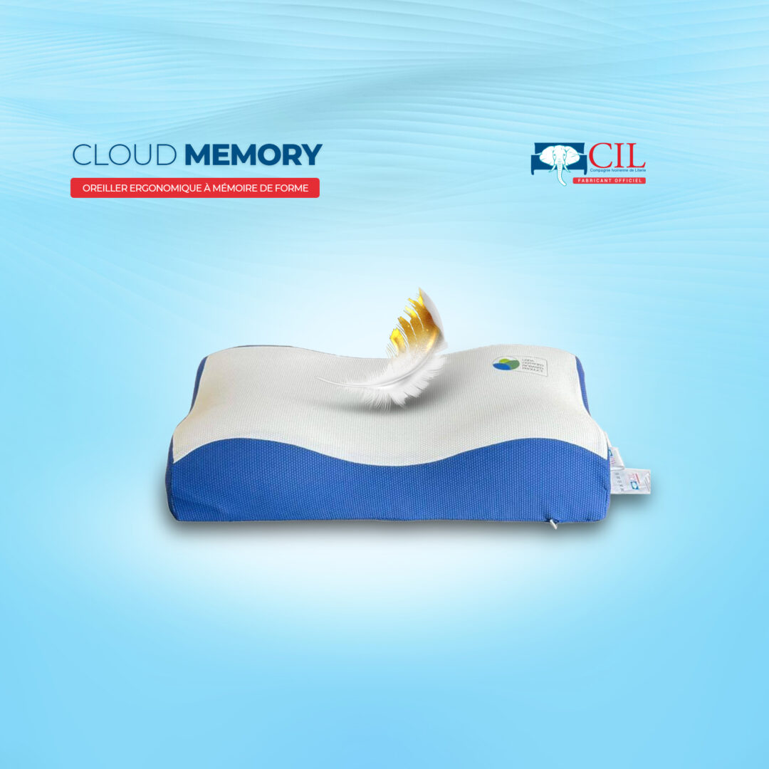 Oreiller CLOUD MEMORY mémoire de forme bio-sourcée – CIL